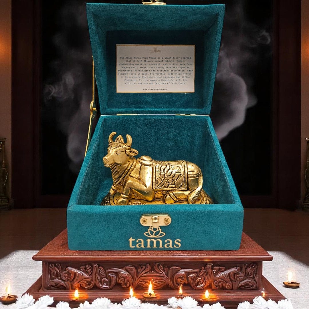 small brass Nandi statue for pooja room dƩcor and spiritual gifting